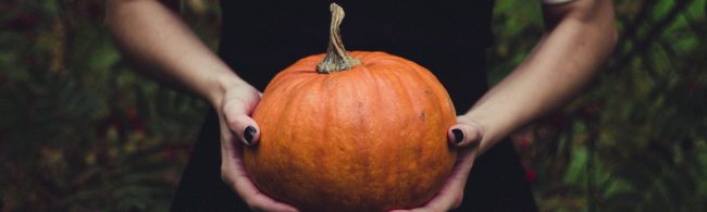 Person hält Kürbis, Herbstliche Inspiration für gesunde Ernährung und Fitness-Rezepte.