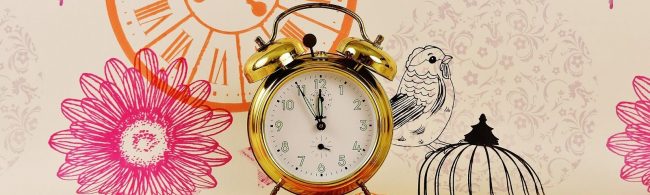 Wecker neben einer Blume und einem Vogel, Symbol für Fitness und Wohlbefinden.
