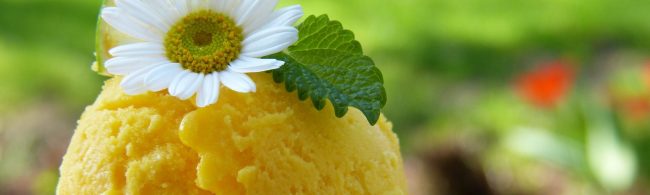 Gelbes Sorbet mit Blüte und Blatt – erfrischend und gesund für dein Training.