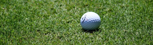 Golfball im Gras: Ideale Trainingsbedingungen für Fitness und Ernährung.