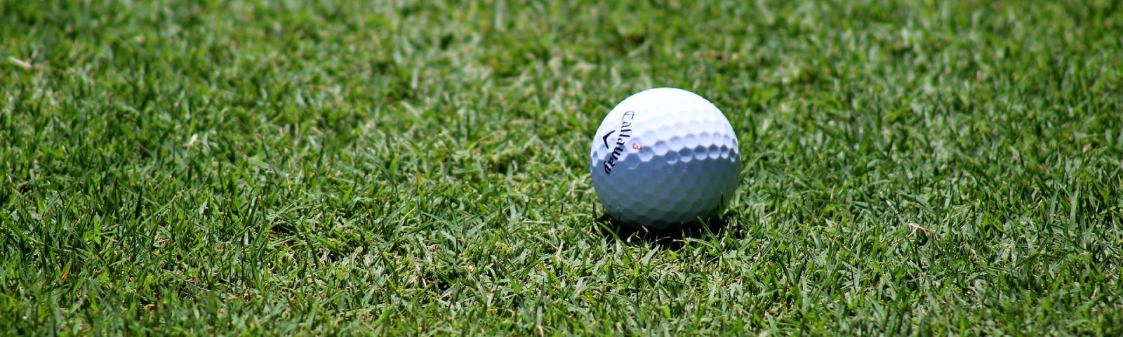 BF-sport-en-inkomen-1600×480 Golfball im Gras: Ideale Trainingsbedingungen für Fitness und Ernährung.