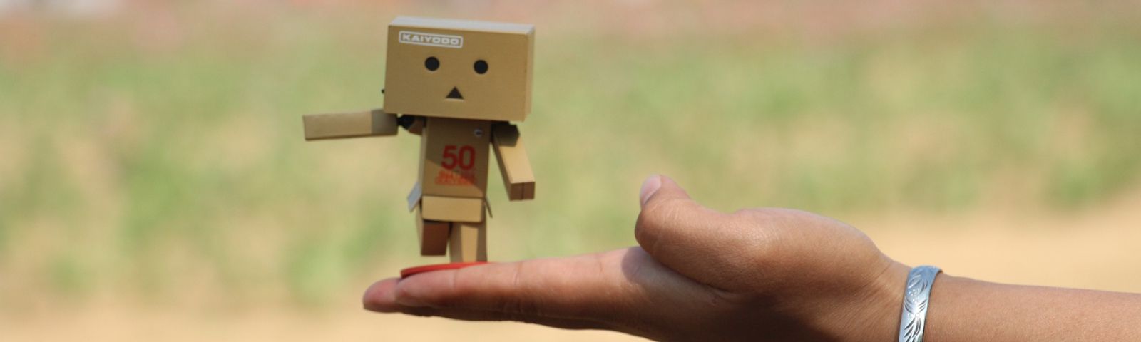 BF-sportklachten-1600×480 Boxmann Figur auf Hand, inspiriert von Kaiyodo, in der Nähe eines Ernährungsplanes.