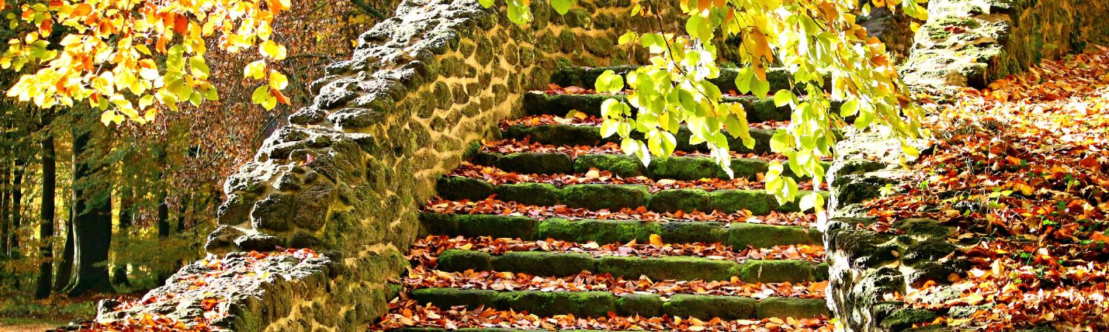 Herbstliche Steintreppe bedeckt mit Blättern und Moos, inspiriert von der Natur für gesunde Ernährung.