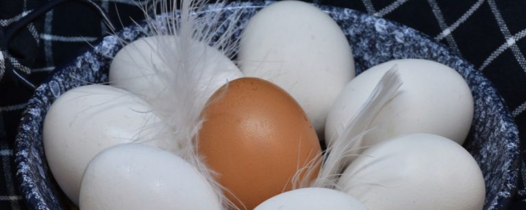 Ein braunes Ei hebt sich von weißen Eiern in einem Körbchen ab, umgeben von Federn, ideal für Fitness-Ernährung.