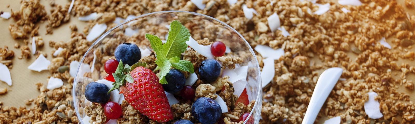 vegan 1600×480 Leckeres Granola mit Beeren und Kokosnuss für einen gesunden Start in den Tag.