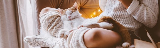 cozy indoor scene with flickering candles, soft blankets, and a warm cup of tea—invoking the feeling of hygge on a winter evening.