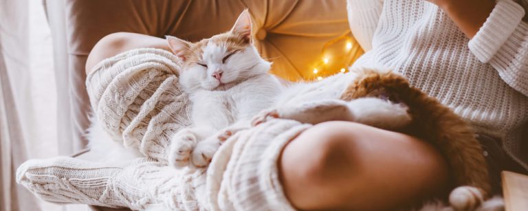 cozy indoor scene with flickering candles, soft blankets, and a warm cup of tea—invoking the feeling of hygge on a winter evening.